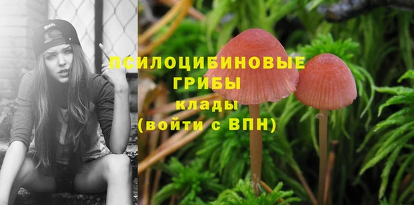 МДМА Алексин